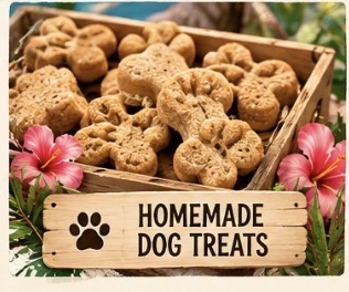 Sunkissed Barkery everyday treats